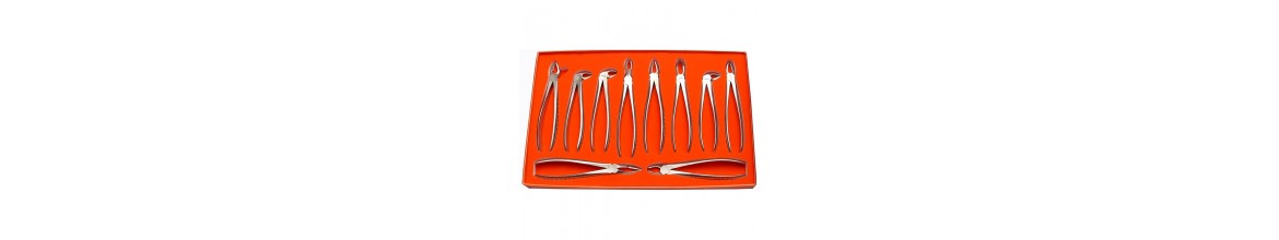 Tooth Extracting Forceps|(eng)